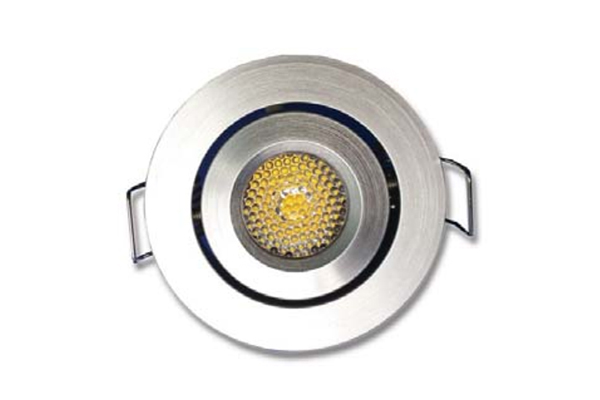 2.5W Adjustable Spot Light